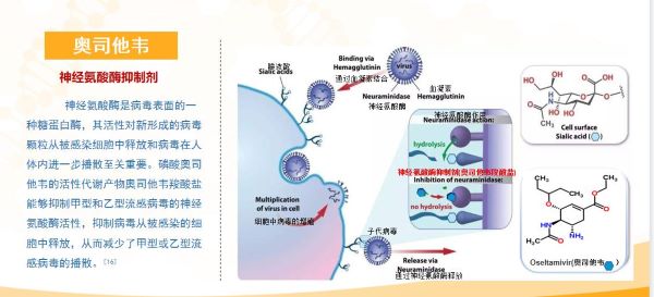 你还不知道流行性感冒通鼻塞吃奥司他韦见效吗？