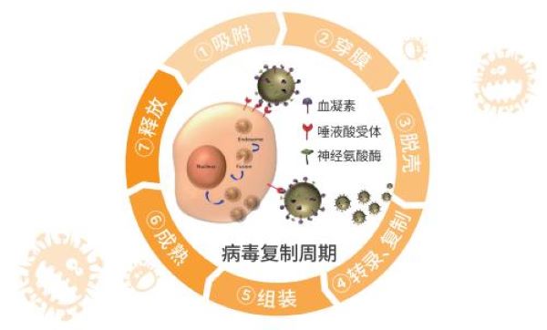 可威磷酸奥司他韦的哪些成分对感冒有帮助？