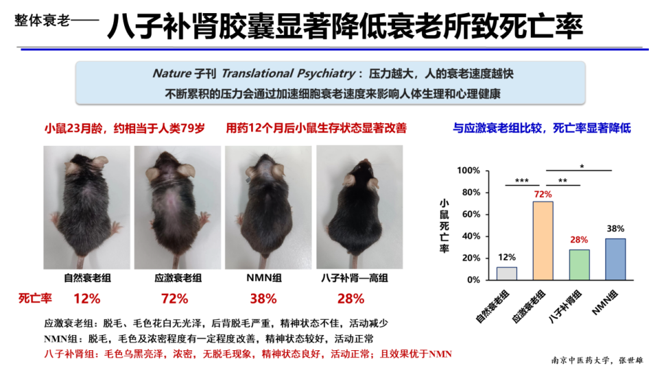从延年益寿到健康长寿：循证医学引领抗衰老策略革新，十大科学抗衰老方法助力健康老去！