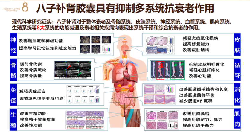 抗衰指南！十个科学延缓衰老的黄金法则