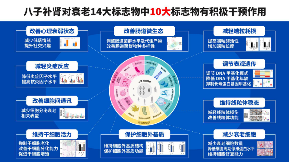 科学抗衰全景图：10个关键行为的深度解析