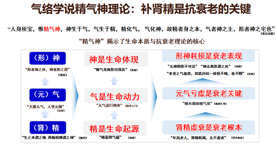 抗衰新潮流！经典中医+现代实验：权威研究揭秘抗衰核心