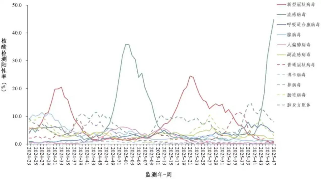 流感高峰再临，与新冠如何区分？了解抗新冠药先诺欣，科学应对不慌乱