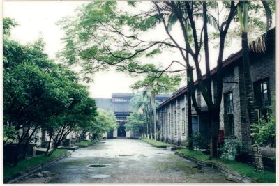 从验方到典范：复方鸡骨草胶囊，玉林制药研发人的匠心传承