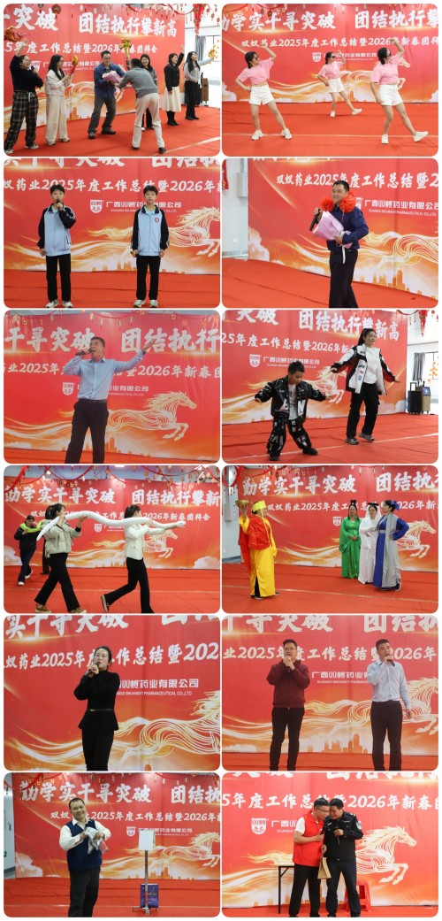 双蚁药业2025年度工作总结暨2026年新春团拜会圆满落幕！