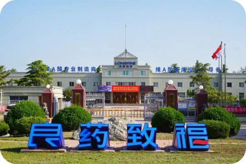 载誉而归！山东良福制药闪耀2026西鼎会，斩获两项重磅荣誉