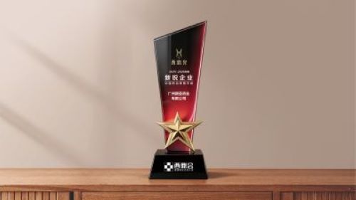 朗圣药业荣膺西鼎会“2025-2026年度中国药品零售市场新锐企业奖”